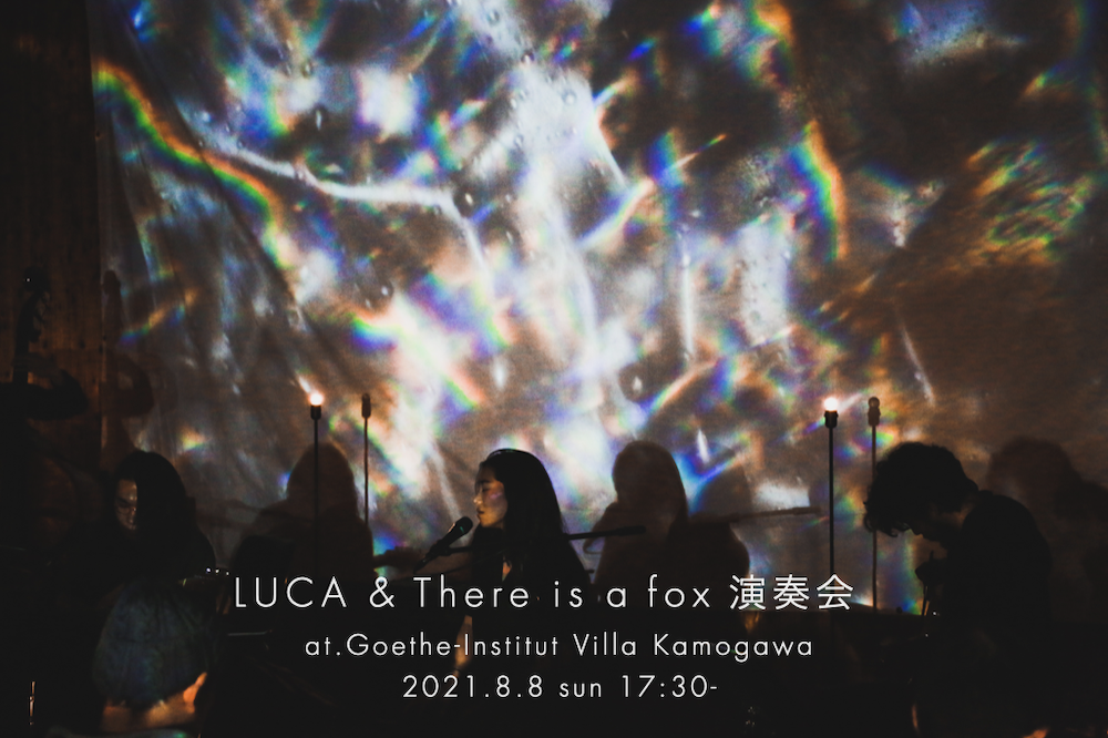 LUCA & There is a fox 演奏会
