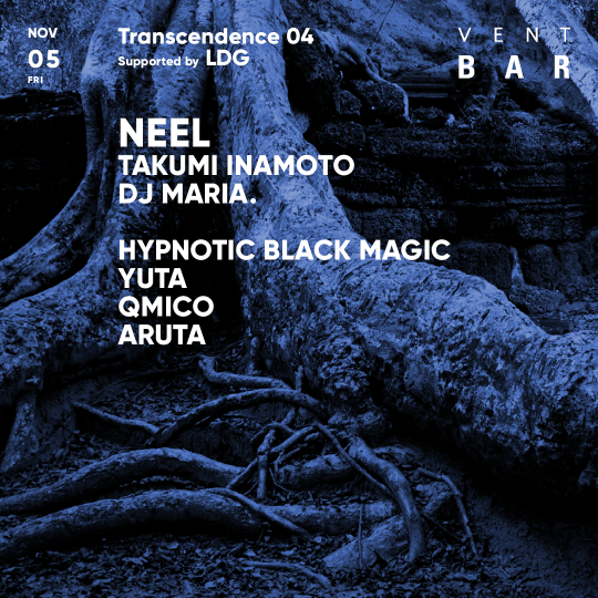 Neel / Transcendence 04 Supported by LDG