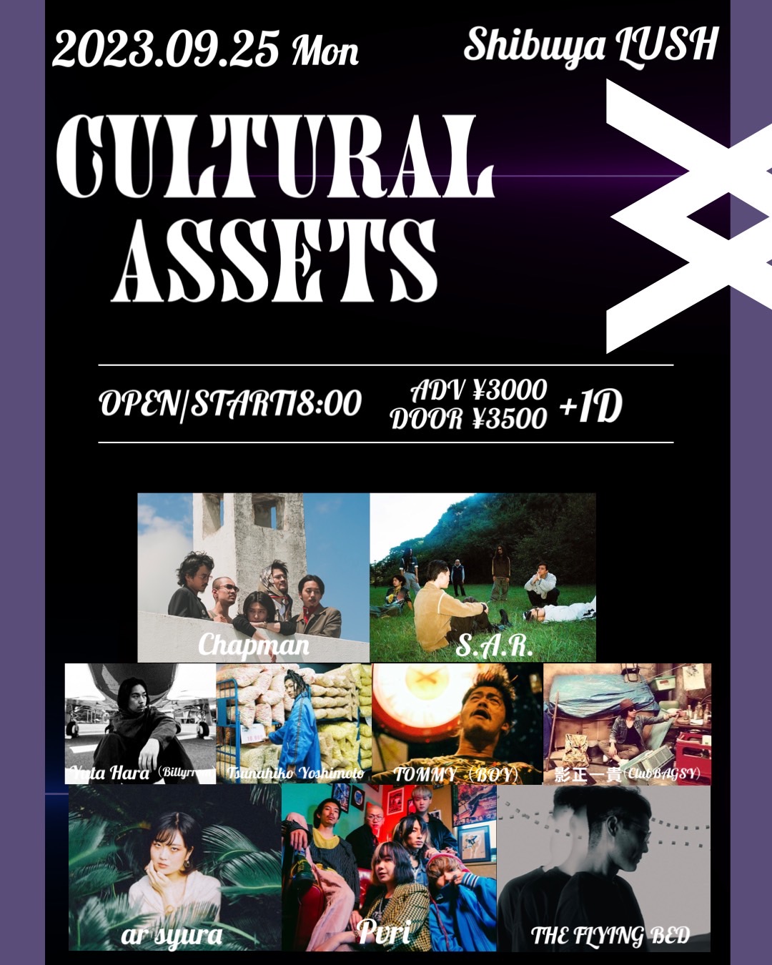 Cultural Assets