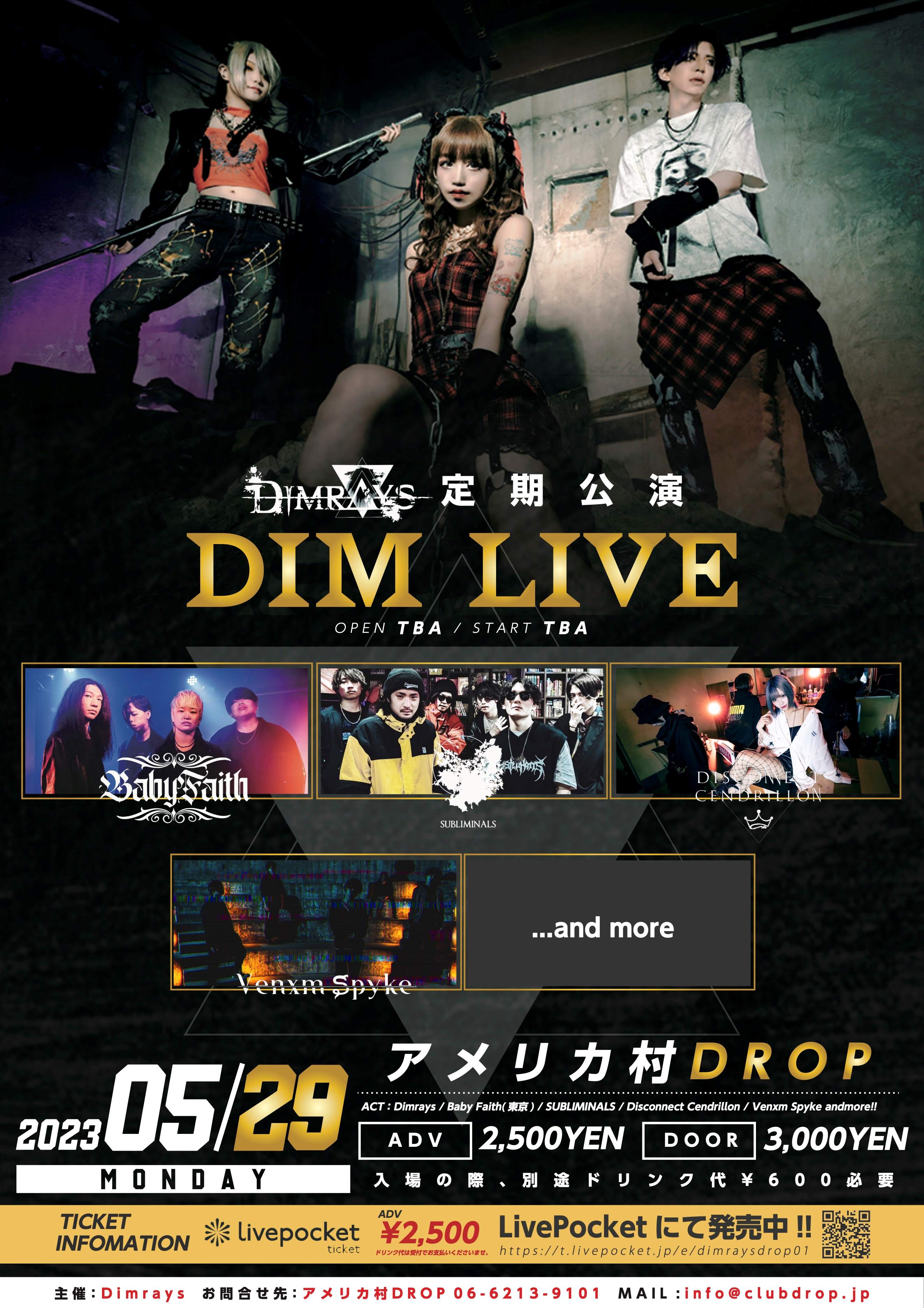 Dimrays 定期公演 DIM LIVE
