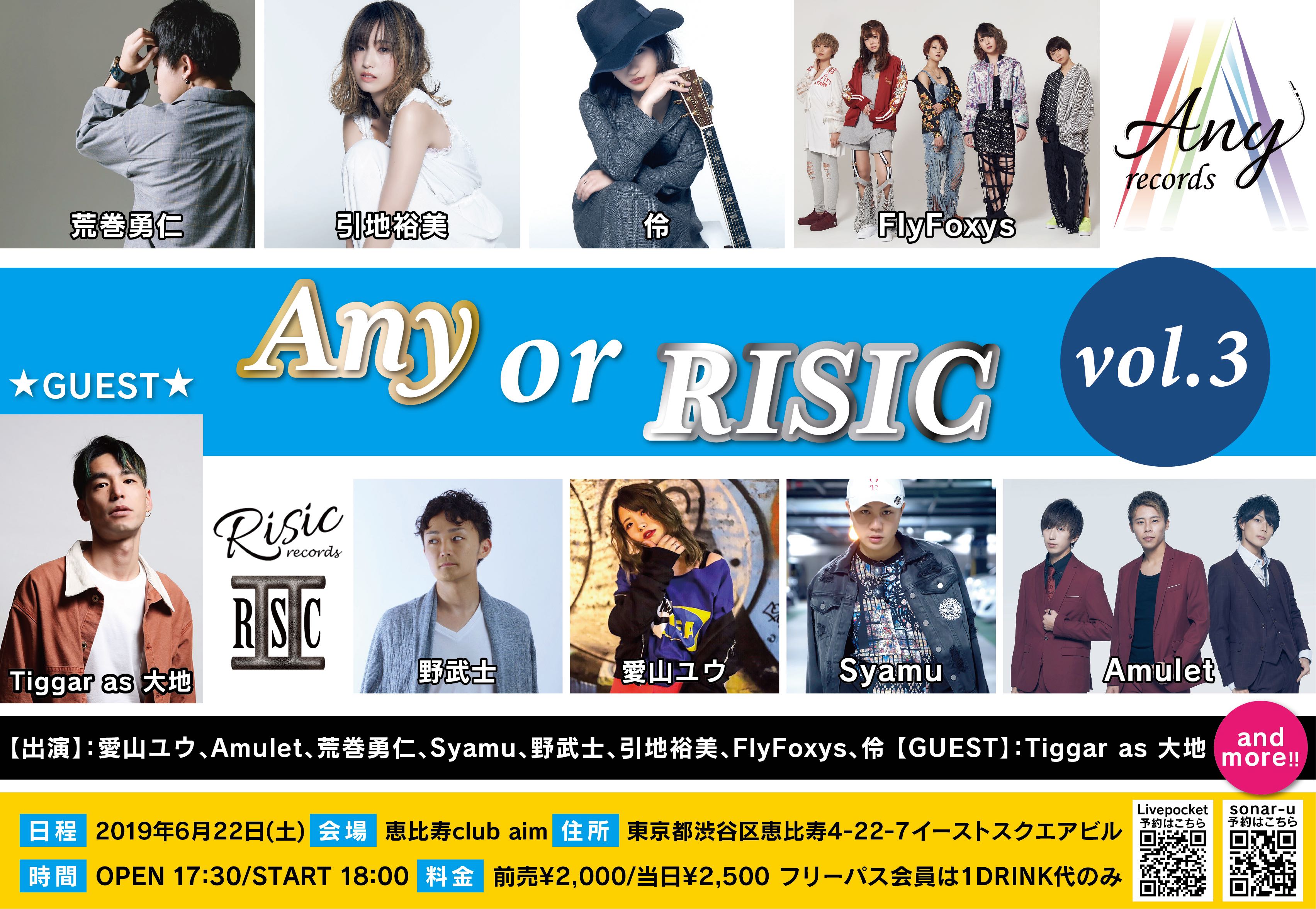 Any or RISIC vol.3