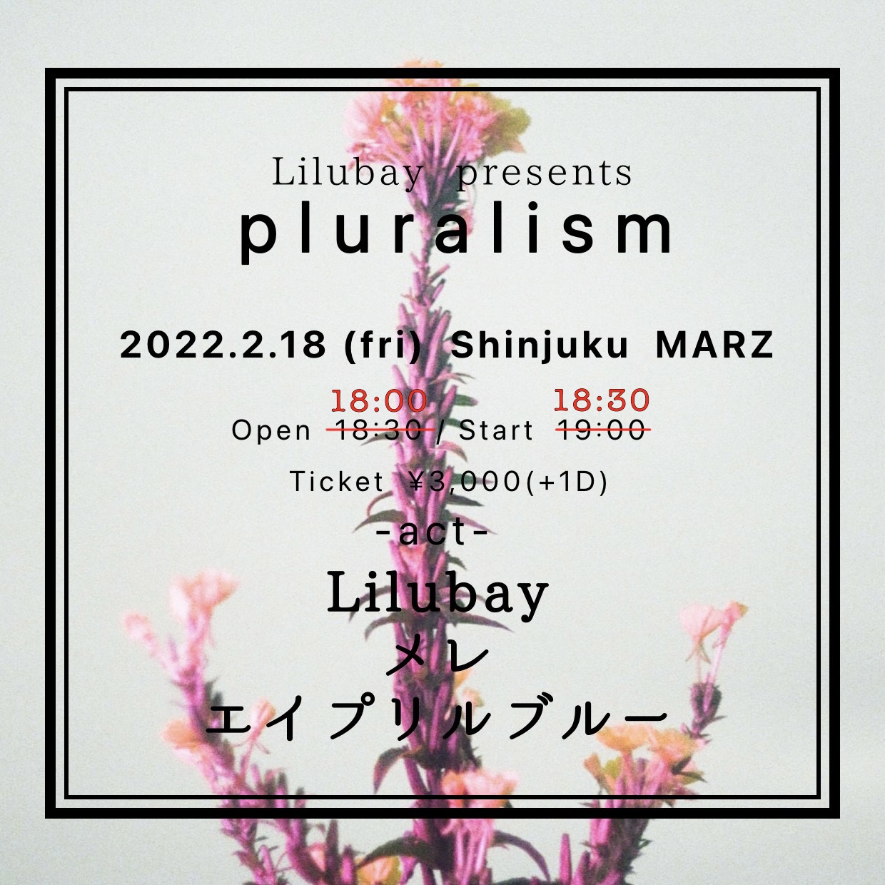Lilubay presents “pluralism”